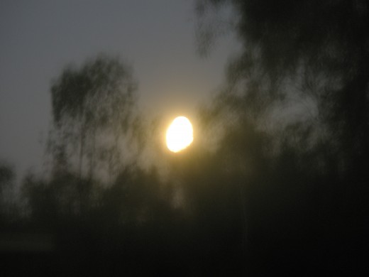 Chemistry's origins lie in the ancient pursuit of alchemy, which was tied in the public eyes with magic and the Devil. Intellectuals were regarded with the suspicion in the Middle Ages. Chemistry's origins lie in the ancient pursuit of alchemy, which was tied in the public eyes with magic and the Devil. Intellectuals were regarded with the suspicion in the Middle Ages.