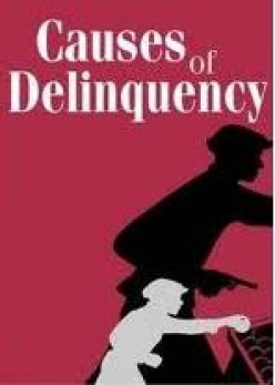 Juvenile Delinquency - Causes and Control