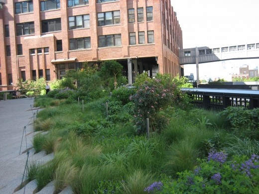 An apartment building by the High Line