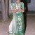 A teenage girl in agrand saree( observe the silver coloured designs on the pallu and border.Body of sari has creamy colour and plain) A teenage girl in agrand saree( observe the silver coloured designs on the pallu and border.Body of sari has creamy colour and plain)