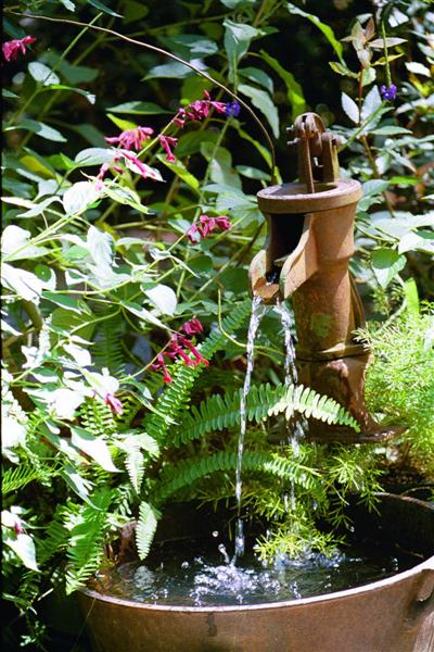 The water feature circulates the water when the pump is turned on. We keep it off so the tadpoles will be safe.