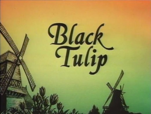 Title screen for Burbank Films Australia's 1988 film "Black Tulip." Restored and enhanced.