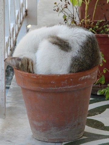 For some., Sleep is no problem