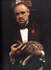I wanna make you and offer you can't refuse!" 