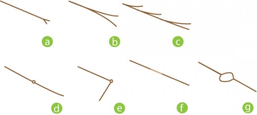 There are many different forms of strand damage.