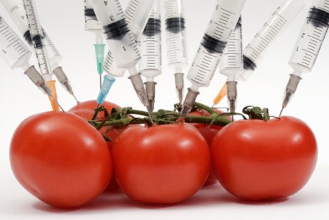 Genetically Modified Food is not required to be labeled. You may not want to eat genetically engineered foods. Chances are, you are eating them anyway. 