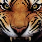 Tiger Mom profile image