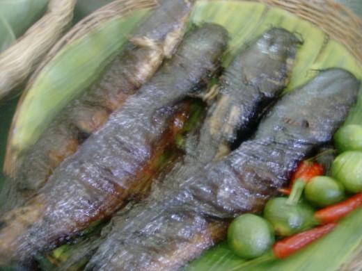 Grilled Mud fish