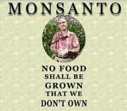 https://usercontent2.hubstatic.com/5151209_f260.jpg