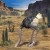 Head in the Sand, a Lost and Forbidden Land, this Broken Man Head in the Sand, a Lost and Forbidden Land, this Broken Man