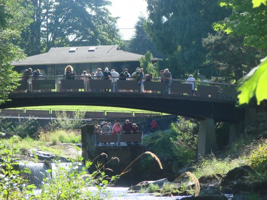 The little waterfall on the bottom left is where the salmon pictured earlier was. 