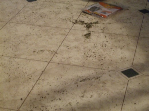 Dry, green, flaky.....catnip