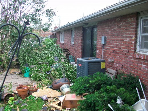 The back of our house the next day.
