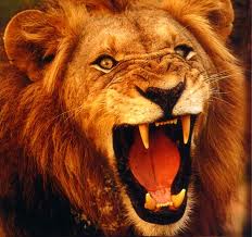 It is a fearful thing to fall into the hands of the living God. Hebrews 10:31
