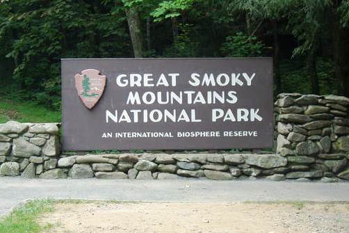 We went up to the Smoky Mountains tonight in an attempt to see the synchronous fireflies tonight, but sadly it was a packed house and we saw nothing, absolutely nothing.  Better luck next time. 