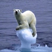 Ingulik19 profile image