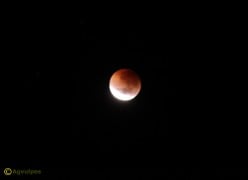 Total Lunar Eclipse - 16 June 2011