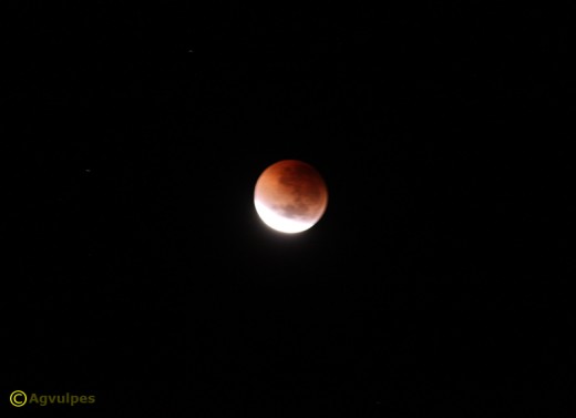 Moon about three quarters of the way into Total Eclipse.