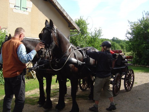 1st June 2011 we welcomed horses to our B&B for the first time