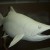 Primed and ready for air brushing Primed and ready for air brushing