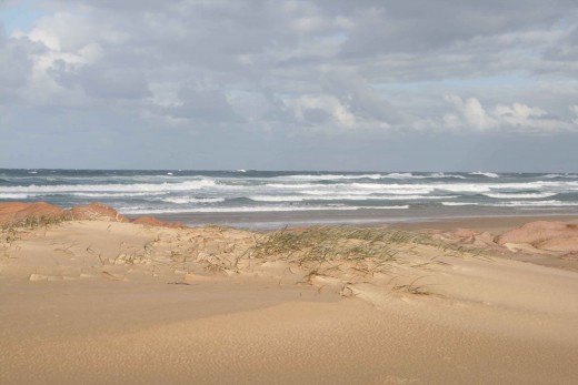 Port Stephens, NSW, Australia