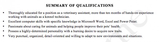 summary of qualifications on a resumes