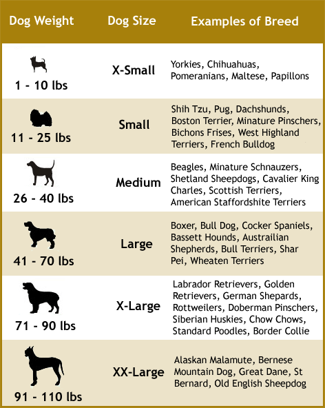 Choosing the right dog leash for your dog size and type | HubPages