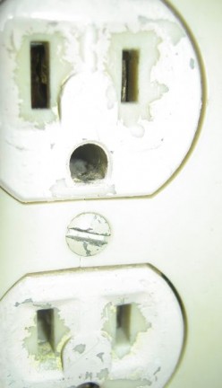How to Replace Electrical Outlets