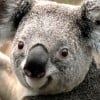 jennyferfer profile image