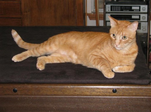 It is pleasant to recline on high spots.
