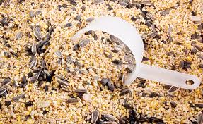 Birdseed