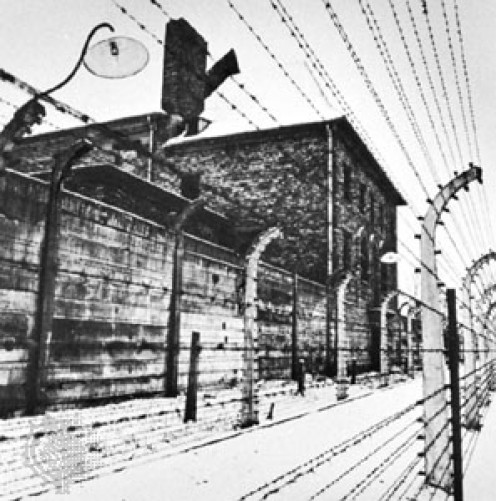 eyewitness auschwitz Free 2-day shipping on qualified orders over $35 buy eyewitness auschwitz at walmartcom. eyewitness auschwitz Free 2-day shipping on qualified orders over $35 buy eyewitness auschwitz at walmartcom.