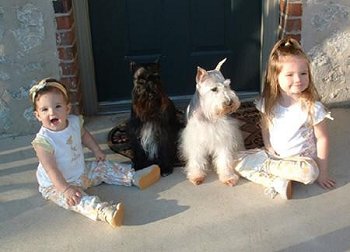 Children with Miniature Schnauzers.  Picture from Google Images.