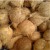 Coconuts for Coconut Chicken Sauce Coconuts for Coconut Chicken Sauce