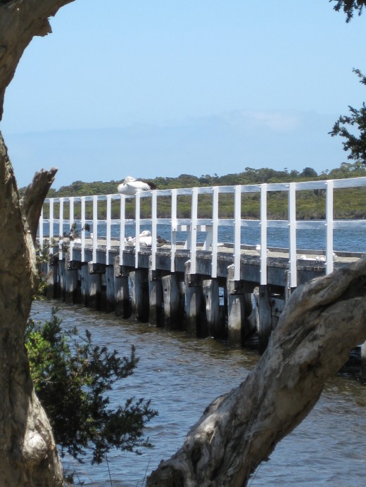to the water at Walpole