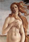 A detail from The Birth of Venus