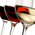 Types of wine glasses – Buy the right wine glass