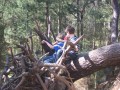 Do Kids Still Climb Trees?