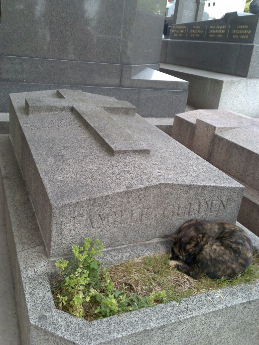 They even sleep in grave yards- at least its quiet