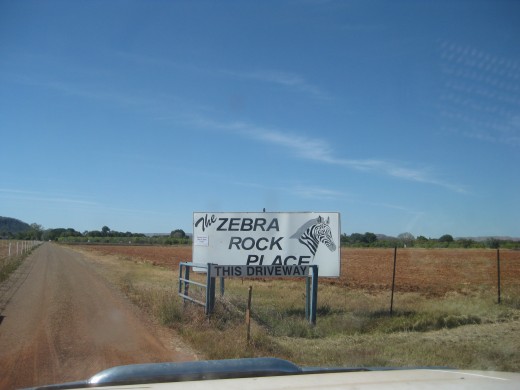 Take a drive out to Zebra Rock gallery