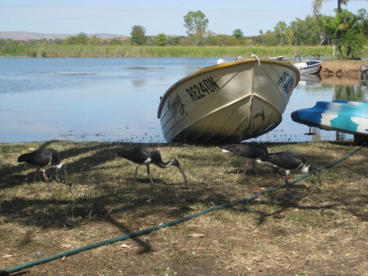 have your boat by the lake