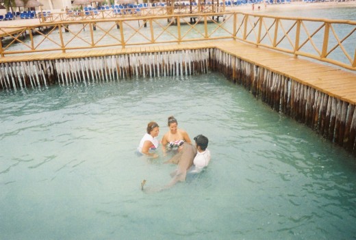 Swim with Sharks in Cancun Mexico