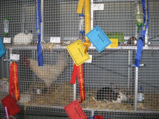 Poultry