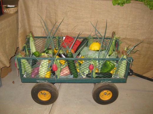 Home grown vegies