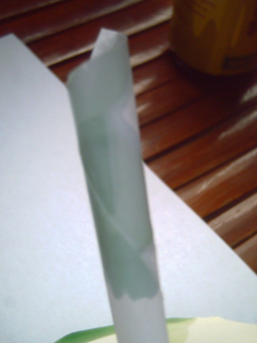 I let the essential oils spread on the top of the paper (Photo by Travel Man)