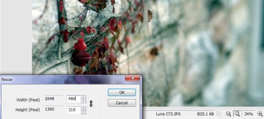 Resize the width of your photo 480 pixels