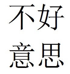 Pinyin pronouciation: bu4 hao3 yi4 si