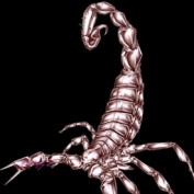 Scorpion_M profile image