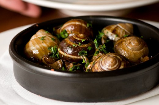 snails fried with wild garlic