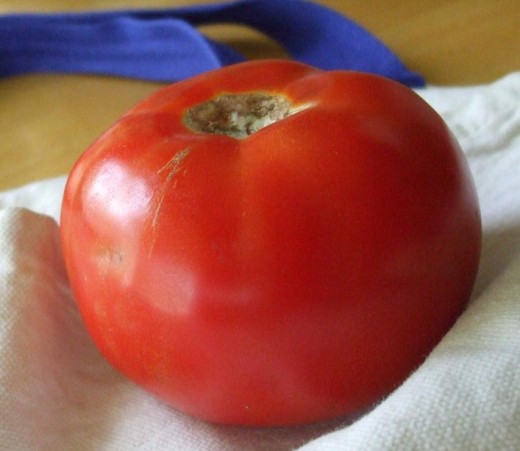 Luscious tomato.